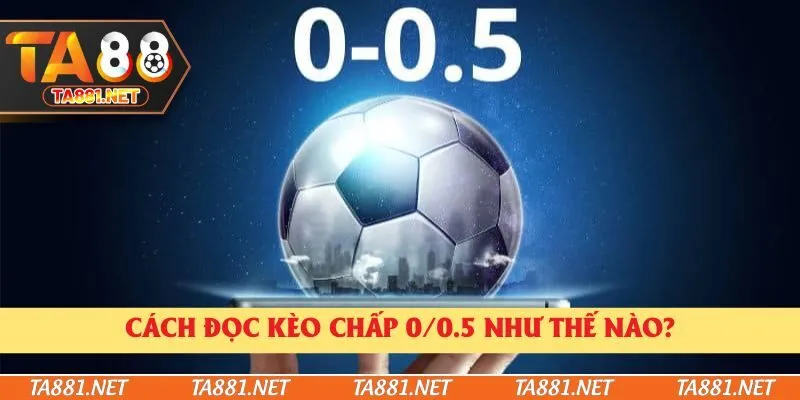 Cách đọc kèo chấp 0/0.5 như thế nào?