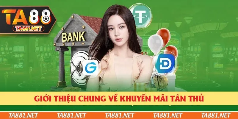 Giới thiệu chung về khuyến mãi tân thủ