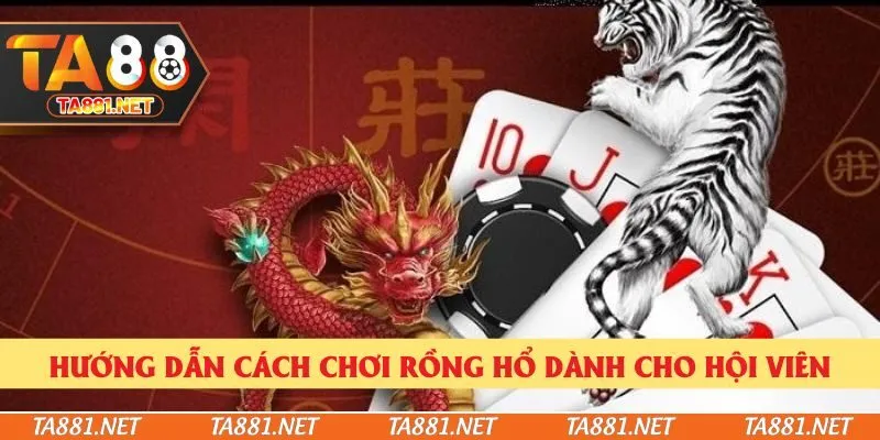 Hướng Dẫn Cách Chơi Rồng Hổ Đơn Giản Và Chuẩn Xác Nhất 2025