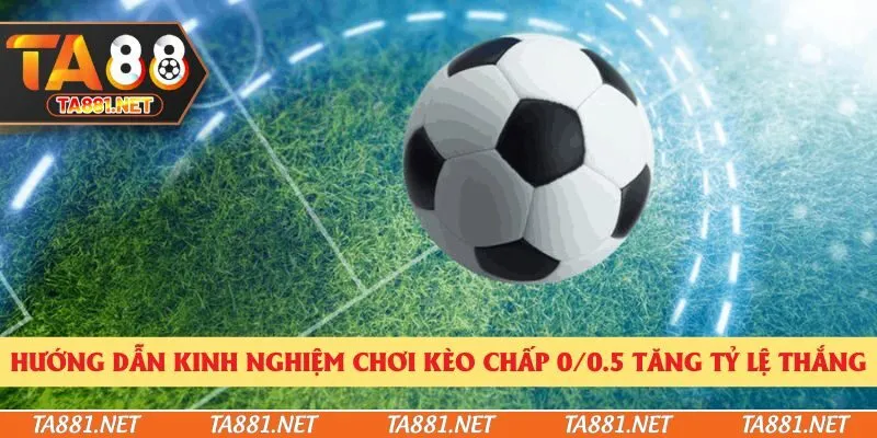 Hướng dẫn kinh nghiệm chơi kèo chấp 0/0.5 tăng tỷ lệ thắng