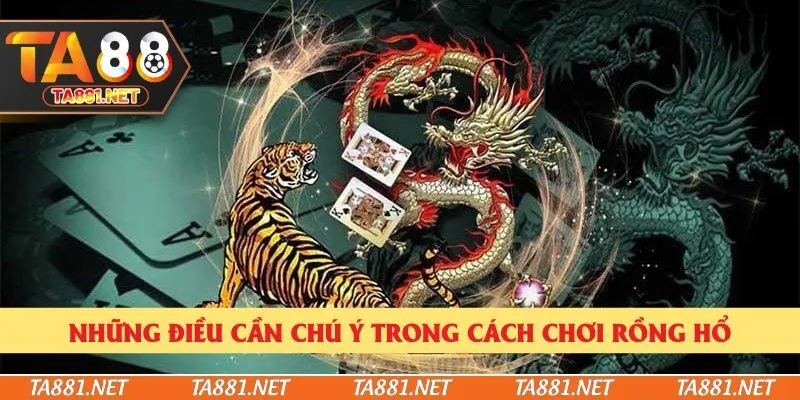 Những điều cần chú ý trong cách chơi Rồng hổ