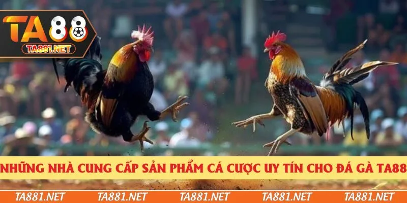 Những nhà cung cấp sản phẩm cá cược uy tín cho đá gà Ta88