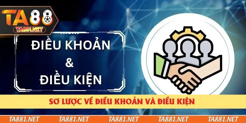 Sơ lược về điều khoản và điều kiện 