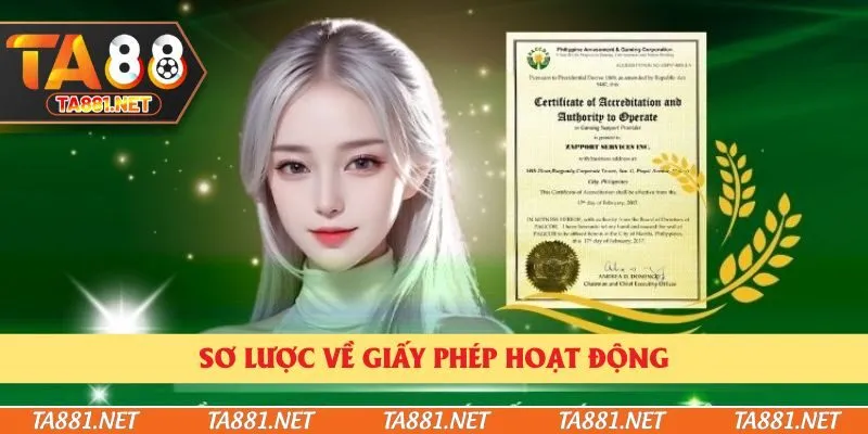 Sơ lược về giấy phép hoạt động